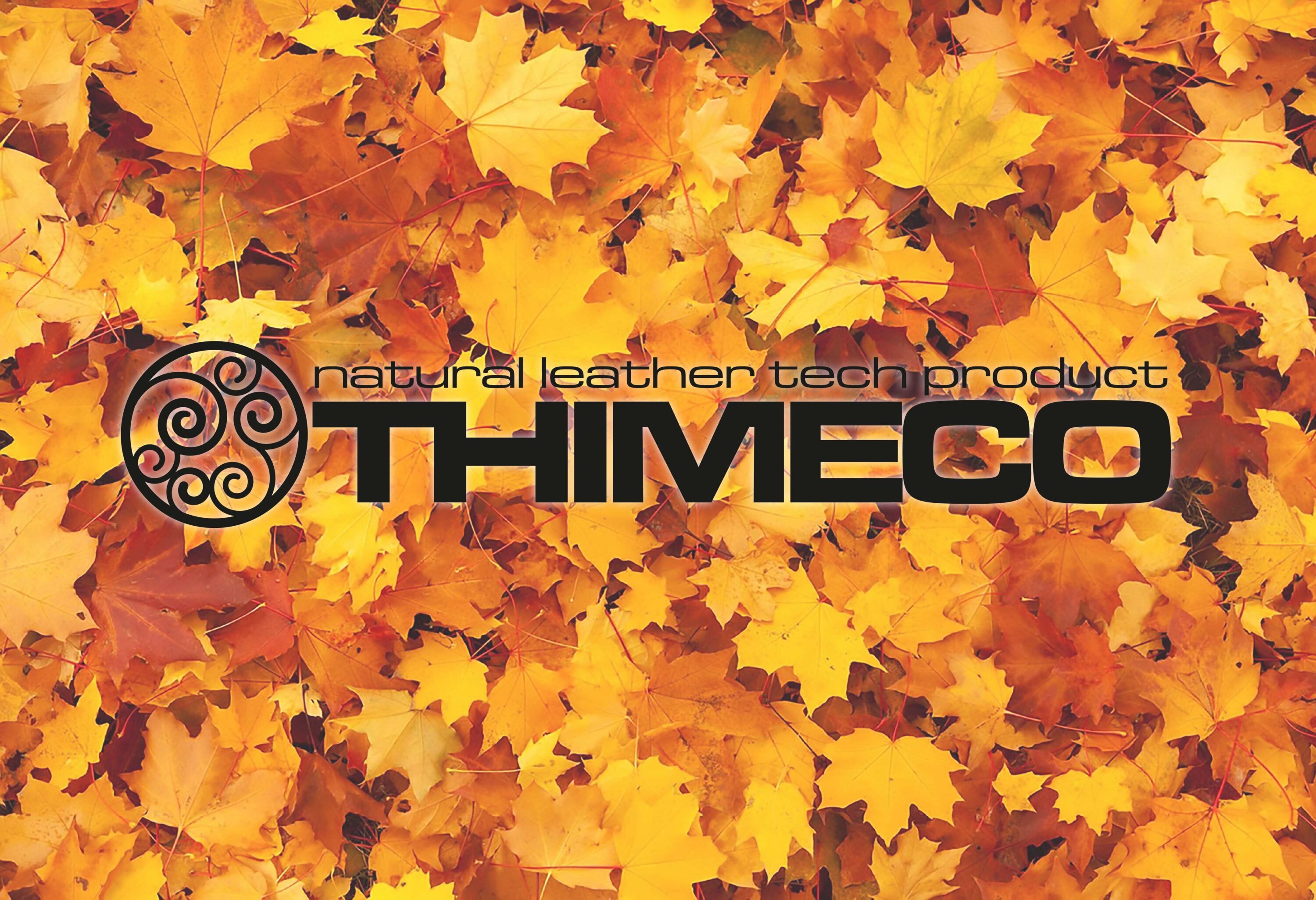 ecco come nasce la qualità thimeco